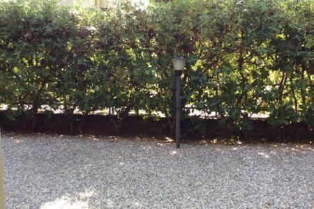 Residence Apuamare Pietrasanta Exteriör bild
